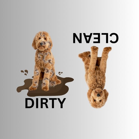 GOLDENDOODLE Clean Dirty Dishwasher Flexible Magnet - Picture 1 of 1